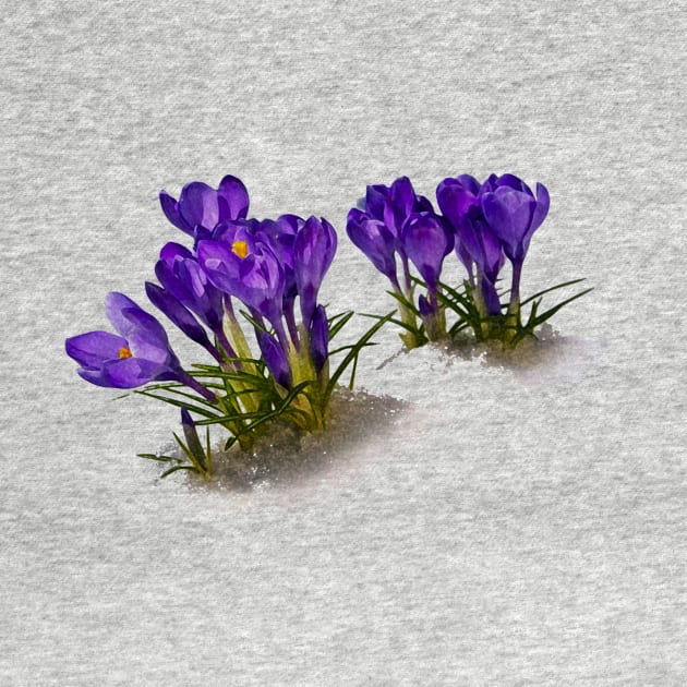 Crocus by ericamhf86